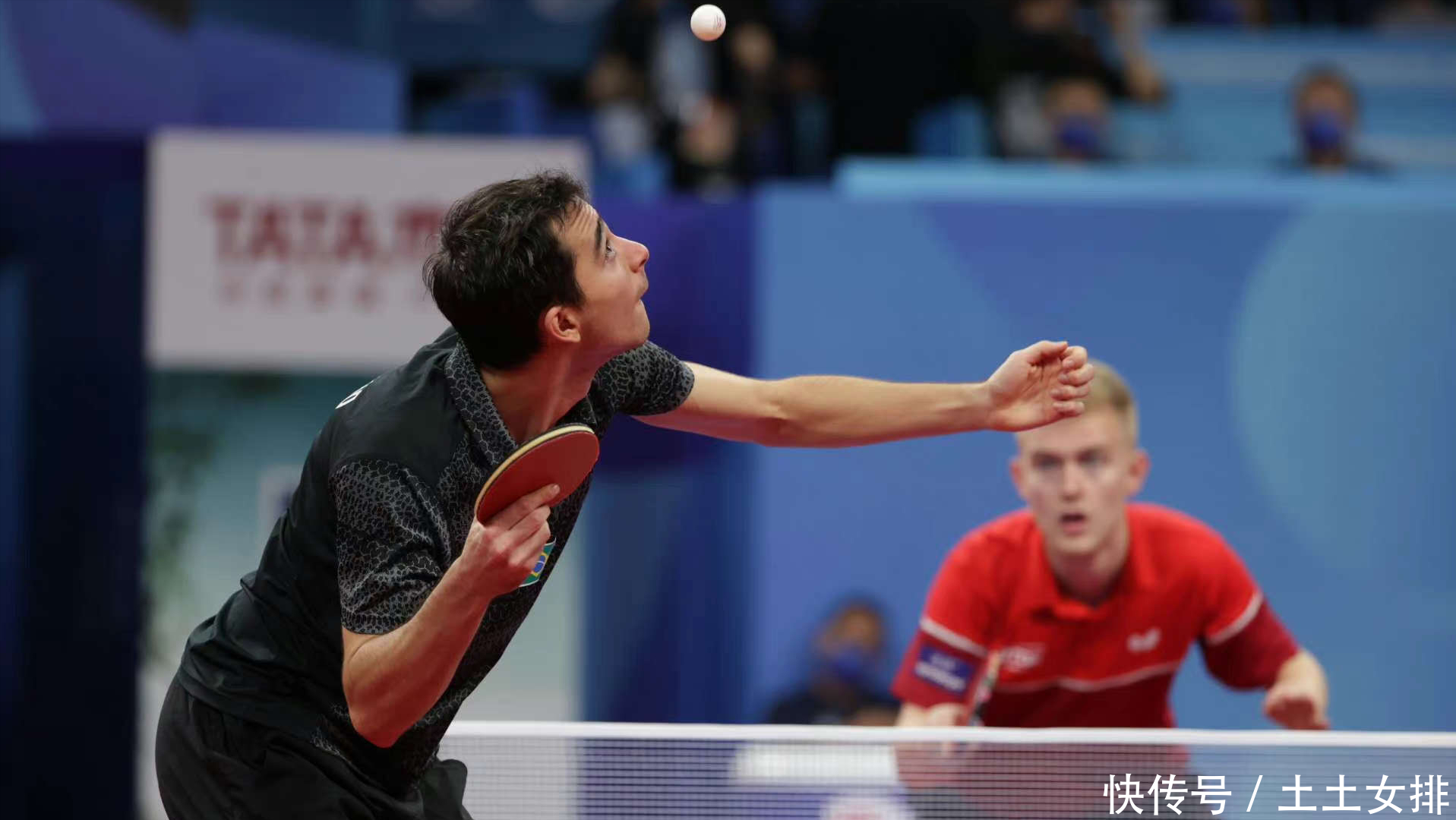 向金球奖评 向金球奖评