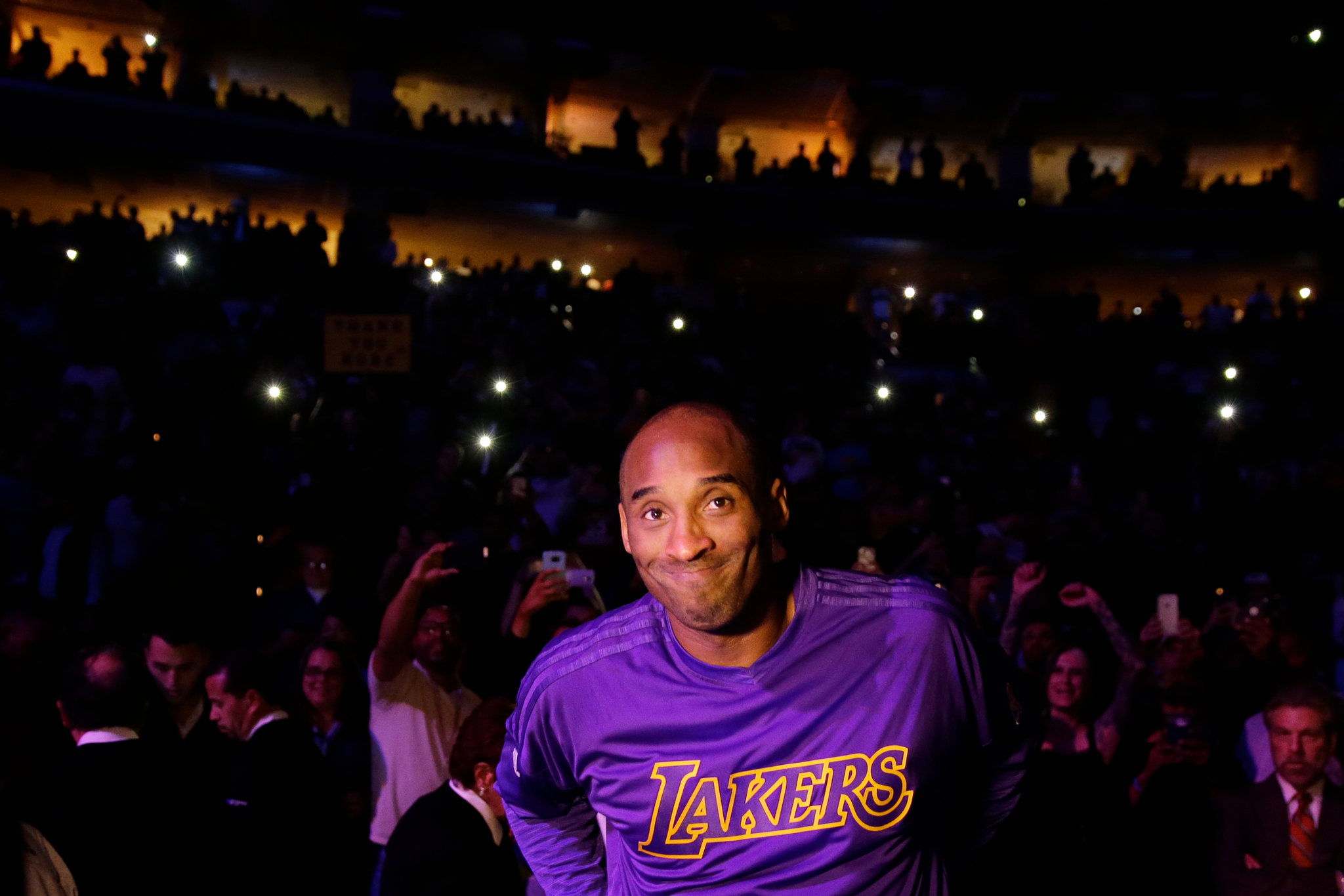 职业生涯的 职业生涯的