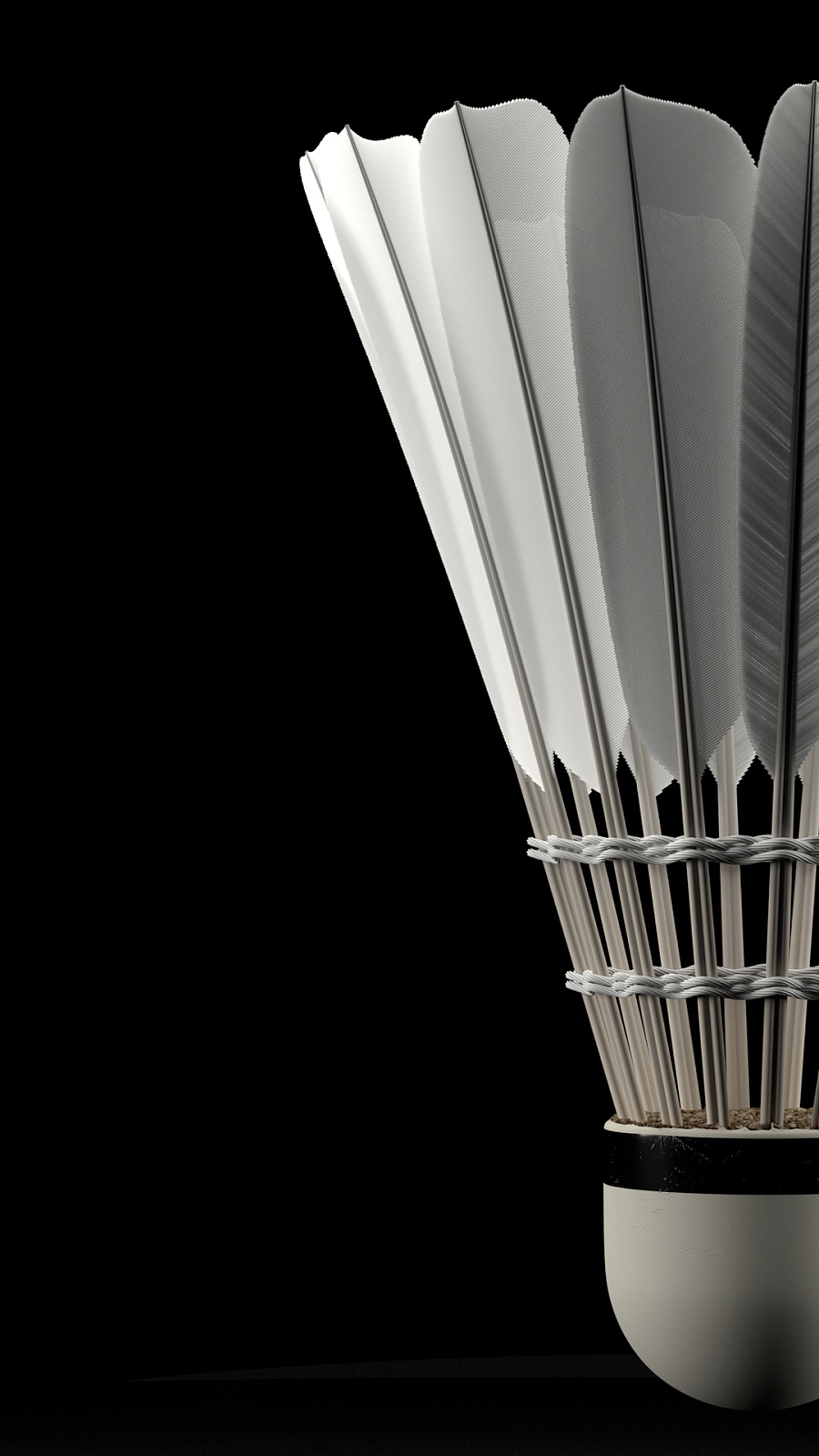 球星已经在 球星已经在