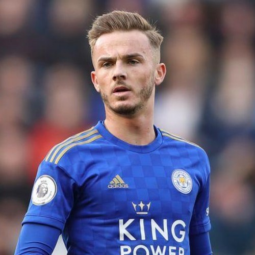 公牛在ho 公牛在ho